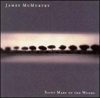 jamesmcmurtry_saint