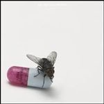 redhotchilipeppers_you_150