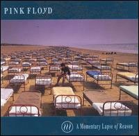 pinkfloyd_momentary