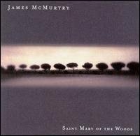 jamesmcmurtry_saintmary_200